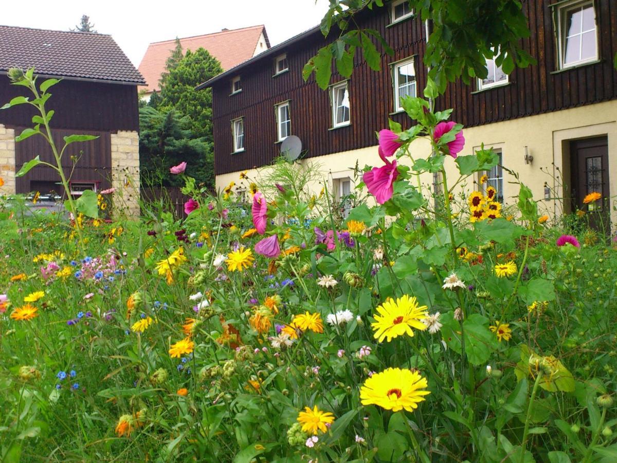Comfy Apartment In Weissig With Garden Bilik gambar